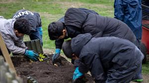 Community Tree Nurseries